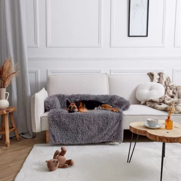 PatCatel4 Pat confortabil si protector pentru canapea de catei - SofaBuddy